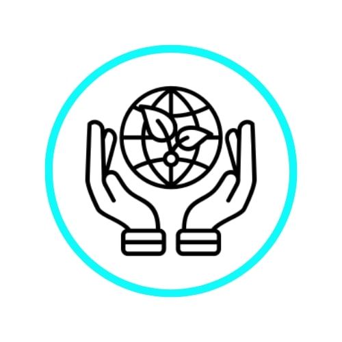 Professional Cleaning Services-Environmentally Responsible