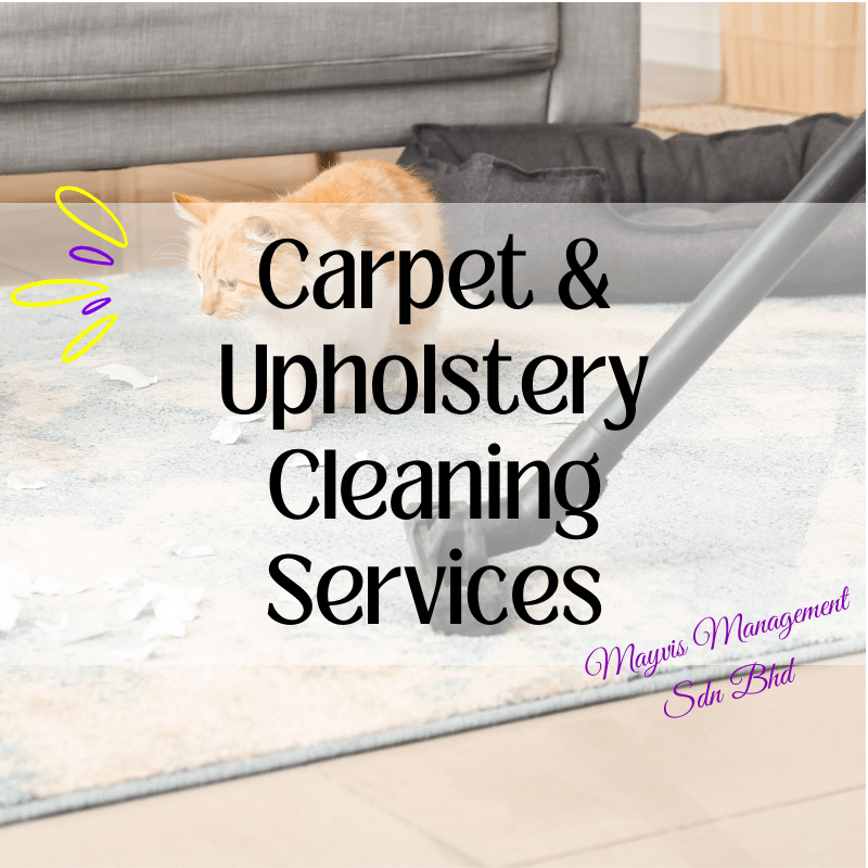 Carpet & Upholstery Cleaning Services