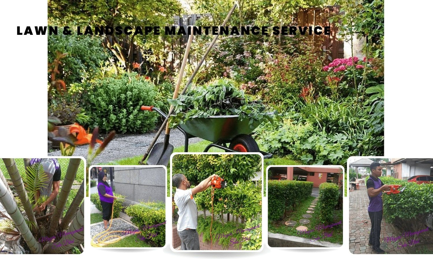 Lawn & Landscape Maintenance Service